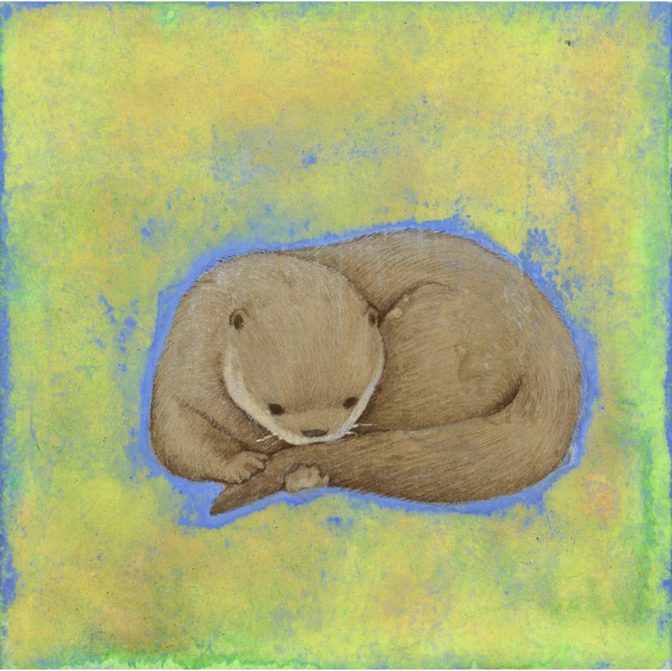 An otter curled up biting its tail
